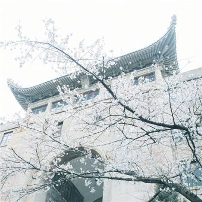 北京市民办高等学校、民办非学历高等教育机构将迎来年度办学状况检查评估